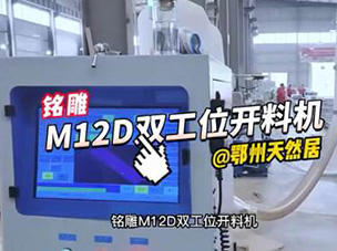 M12D雙工位數控開料機到達鄂州天然居板材切割視頻